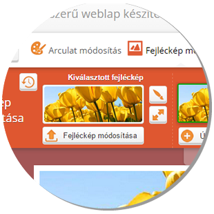 honlap készítővel egyedi fejléckép